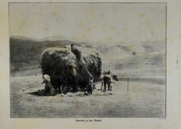 1917 - alter Druck - Heuernte in den Bergen